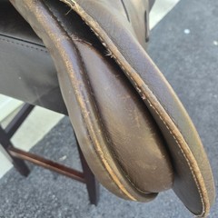 Avante All Purpose English Schooling Saddle 19″