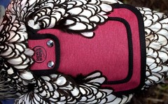 Rugged Burgundy Chicken Saddle for Standard Breeds – Feather Protection Included