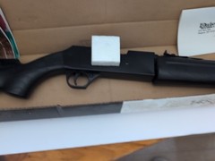 Daisy Powerline 856 .177 Cal Multi Pump Single Shot Pellet Rifle – Rifled Barrel