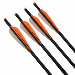 6/12 Pcs 16-22» Archery Crossbow Bolts Carbon Shaft Arrows for Hunting Shooting