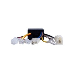 ZK1200-DP1-LD (ZK1200-DP-LD) Control Module for the Razor E90