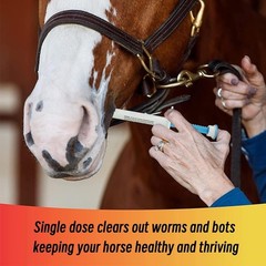 10 Pack New Paste Wormer Horse Dewormer Apple Flavor US Free Shipping EXP01/2028