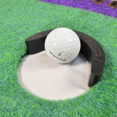 Fanmats 9091 West Virginia University Mountaineers Nylon Putting Green Mat