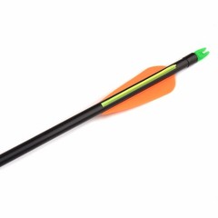 12Pcs 30inch Fibreglass Archery Arrows OD8mm Field Hunting Target Broadhead Tool