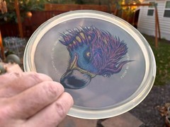 2018 Prehistoric Roc Smoke 180G Champion Patent # Penned Disc Golf Innova #3388