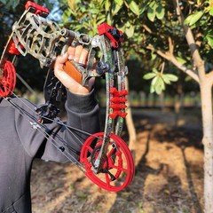30-60lbs Compound Bow Kit Dual-use Short Axis Arrow Steel Ball Hunting RH LH