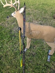 Hoyt Buffalo Fred Eichler Signature Series Recurve 42lb