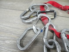 Lot of 16 Vintage Climbing Carabiners Mixed Black Diamond Kong D-Shape Screwgate