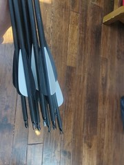 12 31″ Aluminum Arrows With Practice Tips And Fletchings And Nocks