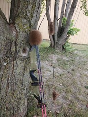 Custom Bear Vintage Recurve Longbow Handmade Archery Palmer
