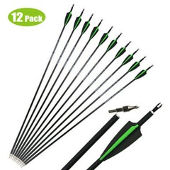 12pcs 30 inch Archery Carbon Arrows SP500 Tips For Compound Recurve Bow Hunting
