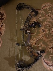 hoyt vtm 34 fully setup ultrarest with fast eddy and the quiver with new string