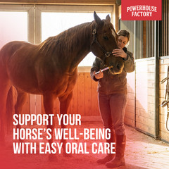 6 Pack In Box Paste Horse Dewormer Apple Flavor wormer horse Dewormer