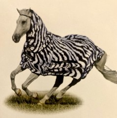 BUCAS SWEET ITCH ZEBRA FLY SHEET W/Full Neck AND Belly Band SIZE 78 new in Bag!!