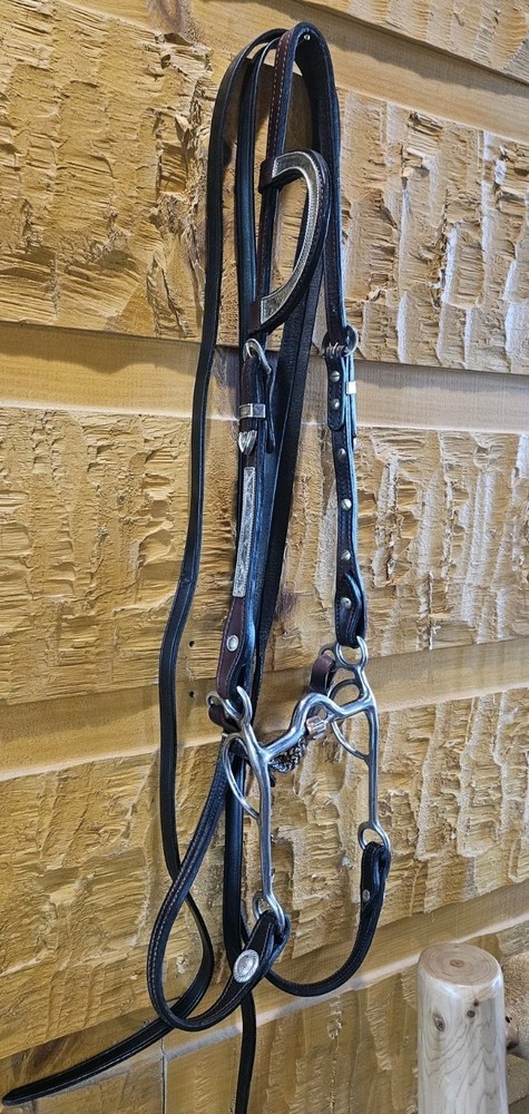 Horse Western Silver Show Headstall, Reins, Bit Set