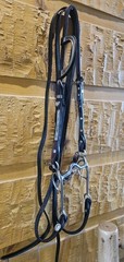 Horse Western Silver Show Headstall, Reins, Bit Set