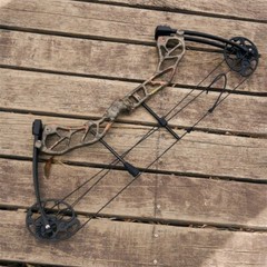Archery Adjustable 19-70lbs Compound Bow Carbon Arrows Target Hunting Shooting