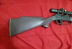 daisy bb gun rifle