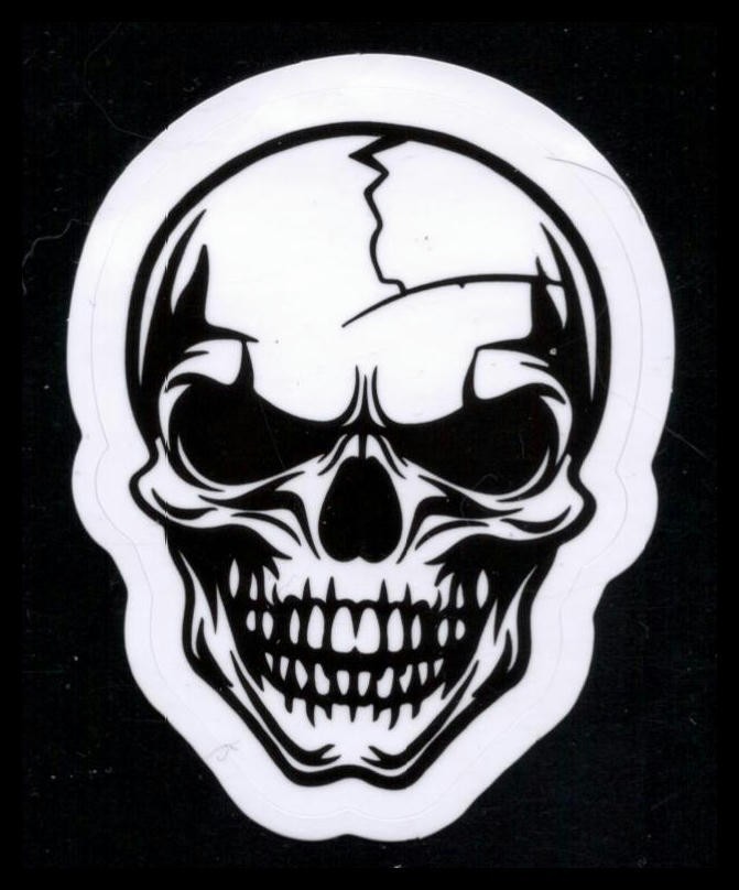 Black and White Skull Sticker 2.5 Inches x 2.5 Inches Skateboard Decals