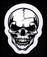 Black and White Skull Sticker 2.5 Inches x 2.5 Inches Skateboard Decals