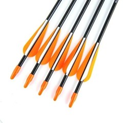 12Pcs 31inch Fiberglass Practice Arrows for Archery Target Shooting Recurve Bows