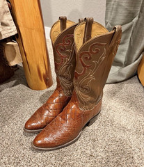 Tony Lama El Rey Collection Men’s Alligator «Belly-cut» Hide Cowboy Boots