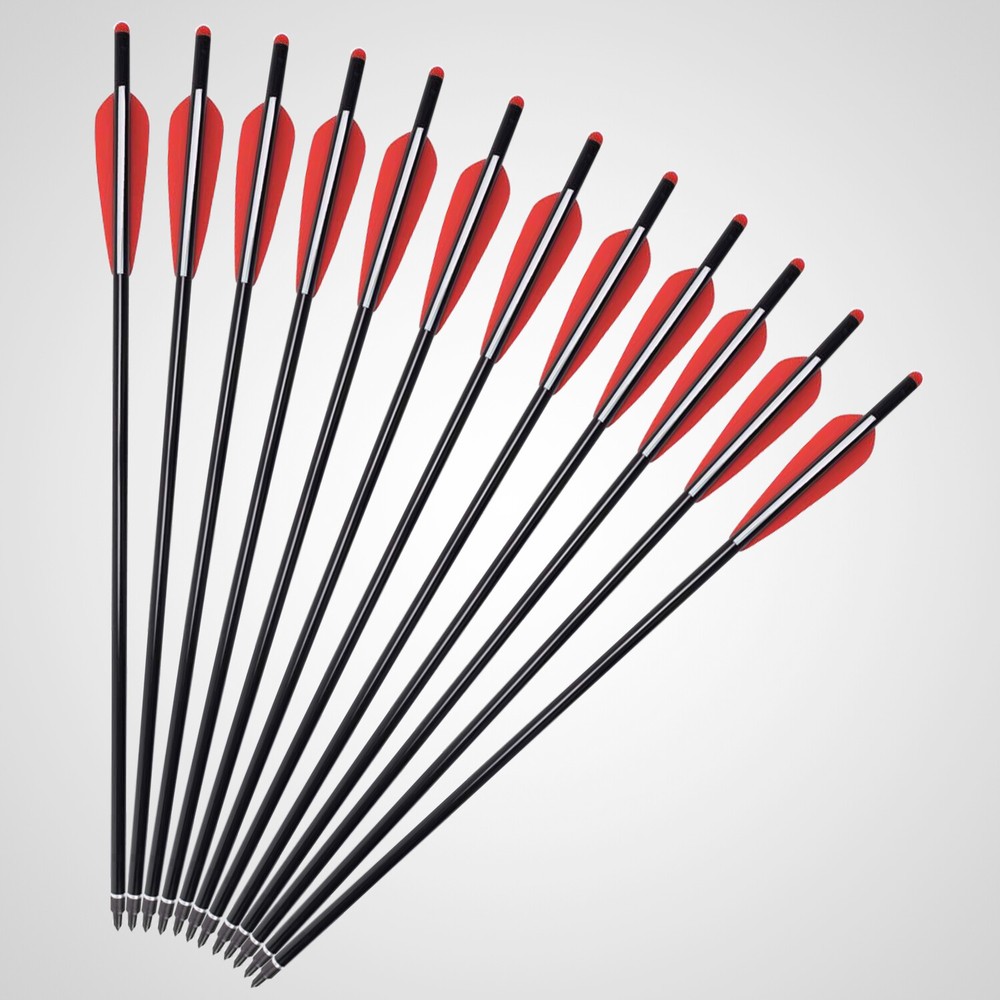 12x 20 inch Carbon Crossbow Bolts OD 8.8mm Archery Arrows / 100 Grain Broadhead