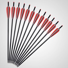 12x 20 inch Carbon Crossbow Bolts OD 8.8mm Archery Arrows / 100 Grain Broadhead