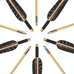12 Pcs Archery Wooden Arrows with Feathers Handmade Targeting Arrows for Traditi