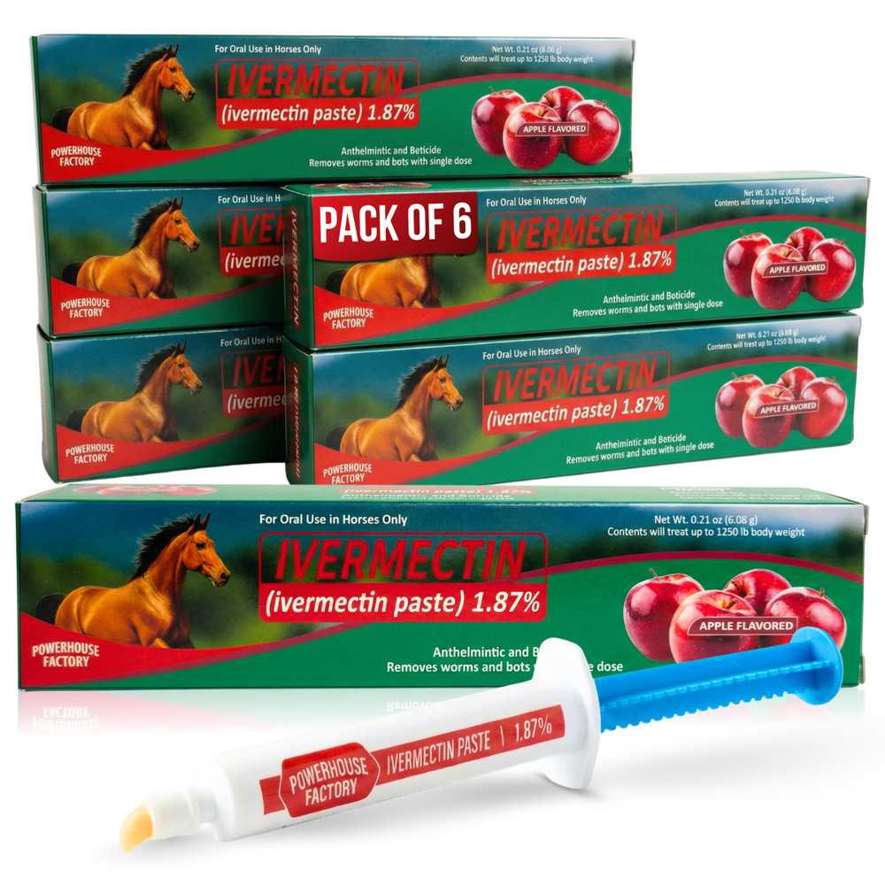 6 Pack In Box Paste Horse Dewormer Apple Flavor wormer horse Dewormer
