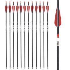 30 inch Carbon Arrow Hunting Arrows with 100 Grain Removable Tips for Archery…