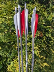Gold Tip Warrior Carbon Arrows. 700, 600, 500, 400, 340, or 340. 6 Pack.