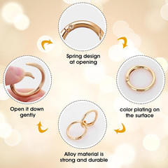 16 Pcs O Ring Clip Spring O Ring Clasp round Mini Carabiner for Bag Purse Handba