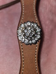 Leather Headstall w/ Crystal Rhinestone Conchos- Reins- NEW