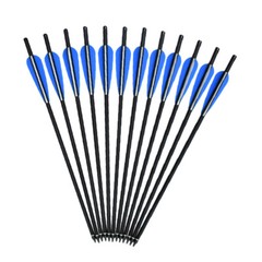 12Pcs Hunting Archery 20/22» Crossbow Bolts Carbon Arrows with 4» Vanes Points