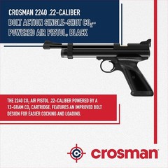 Crosman 2240 .22 Cal Air Pistol Bolt Action CO2 Pellet Gun + 250 Pellets & 5 CO2