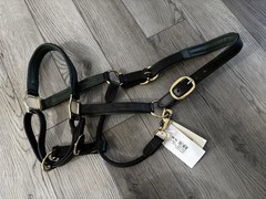 Dover Saddlery Suffolk Padded Leather Halter – Full Horse Size Green Brown
