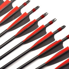 12 Pcs 30inch Fiberglass Arrows Archery OD 8mm For Recurve/Compound bow Hunting