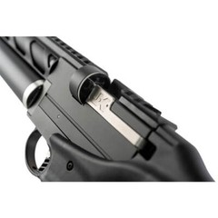 Umarex Notos Carbine .22 Caliber Air Rifle PCP with 250 Pellets Bundle (2254847)