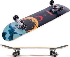 Skateboards for Beginners,31 * 8 Inches Complete Skateboards for Kids,Boys,Girls
