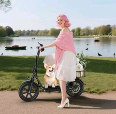 48V 10.5Ah Seated Electric Scooter 500W Folding Removable Battery Black
