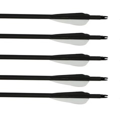 60» Traditional Wooden Recurve Bow & 12pcs Arrows for Target Hunting 40/50lbs