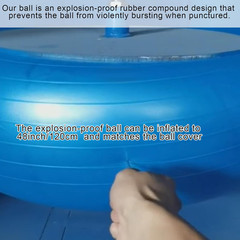 48 Inch Giant Herding Ball with Cover anti Burst Ball Please Watch VCR for How t