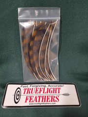 Trueflight Feathers 5 inch Parabolic Right Wing Brown Barred Dozen pack 