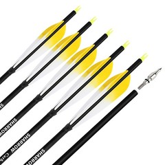 28″ 30″ 31″ Archery Carbon Arrows SP500 Feather Screw-in Tip Recurve Bow Hunting