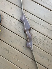 Vintage Archery Hunter Recurve Bow for left hand shooters. No string included