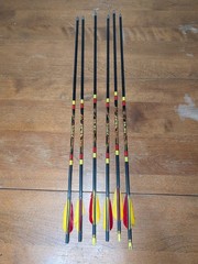 Gold Tip Ultralight / Entrada 500 Arrows Hunting Target Archery