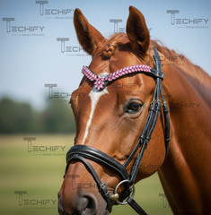 Black Leather Horse Browband Pink Crystal V Shape English Bridle Headstall
