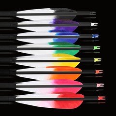 28″ 30″ 31″ Archery Carbon Arrows SP500 Feather Screw-in Tip Recurve Bow Hunting