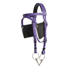 LARGE HORSE/DRAFT CROSS SIZE Beginner PURPLE HARNESS made from Beta Biothane